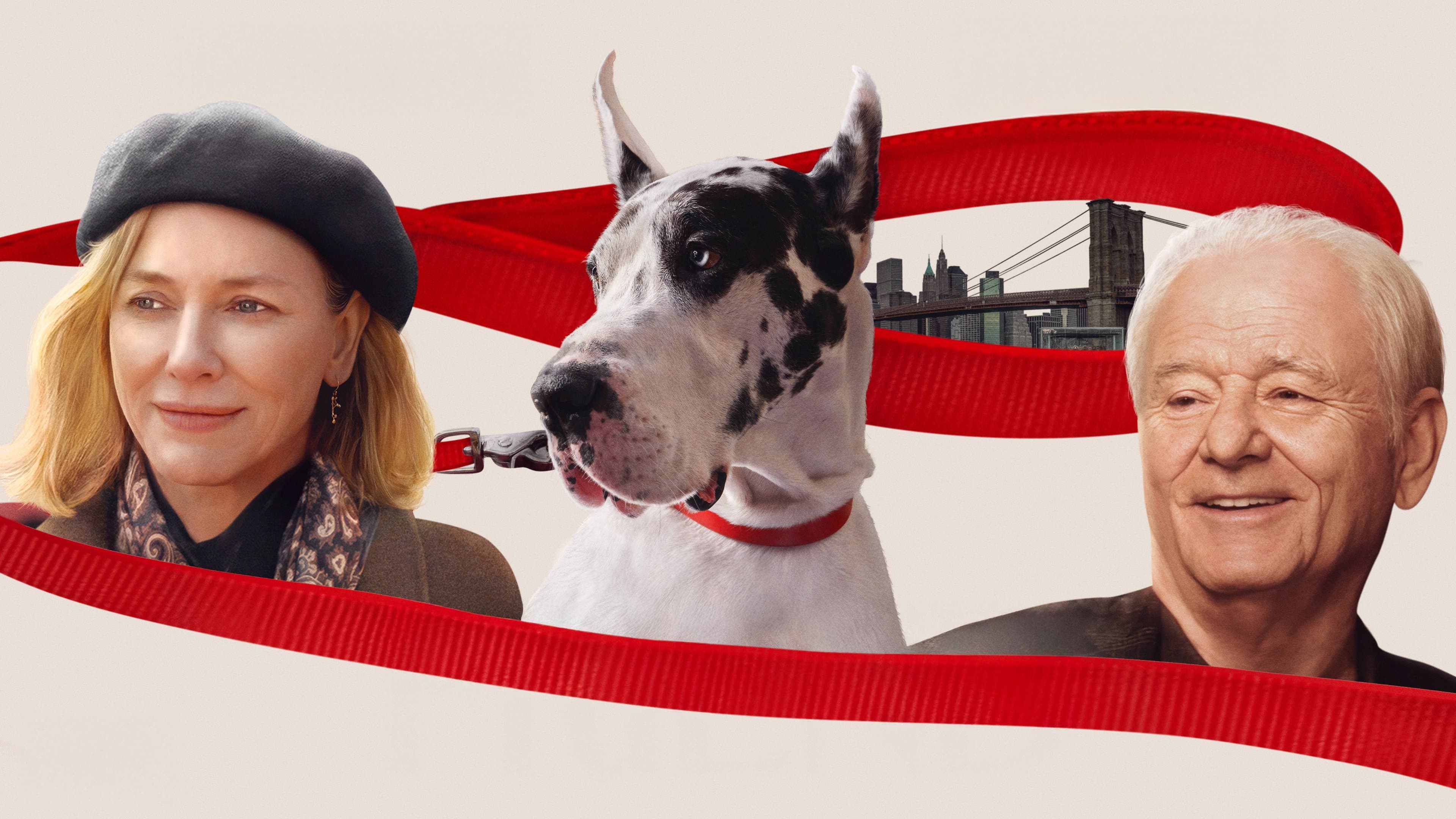 Photo d'illustration du film The Friend