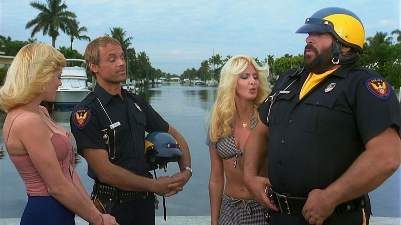 Photo d'illustration du film Deux super-flics