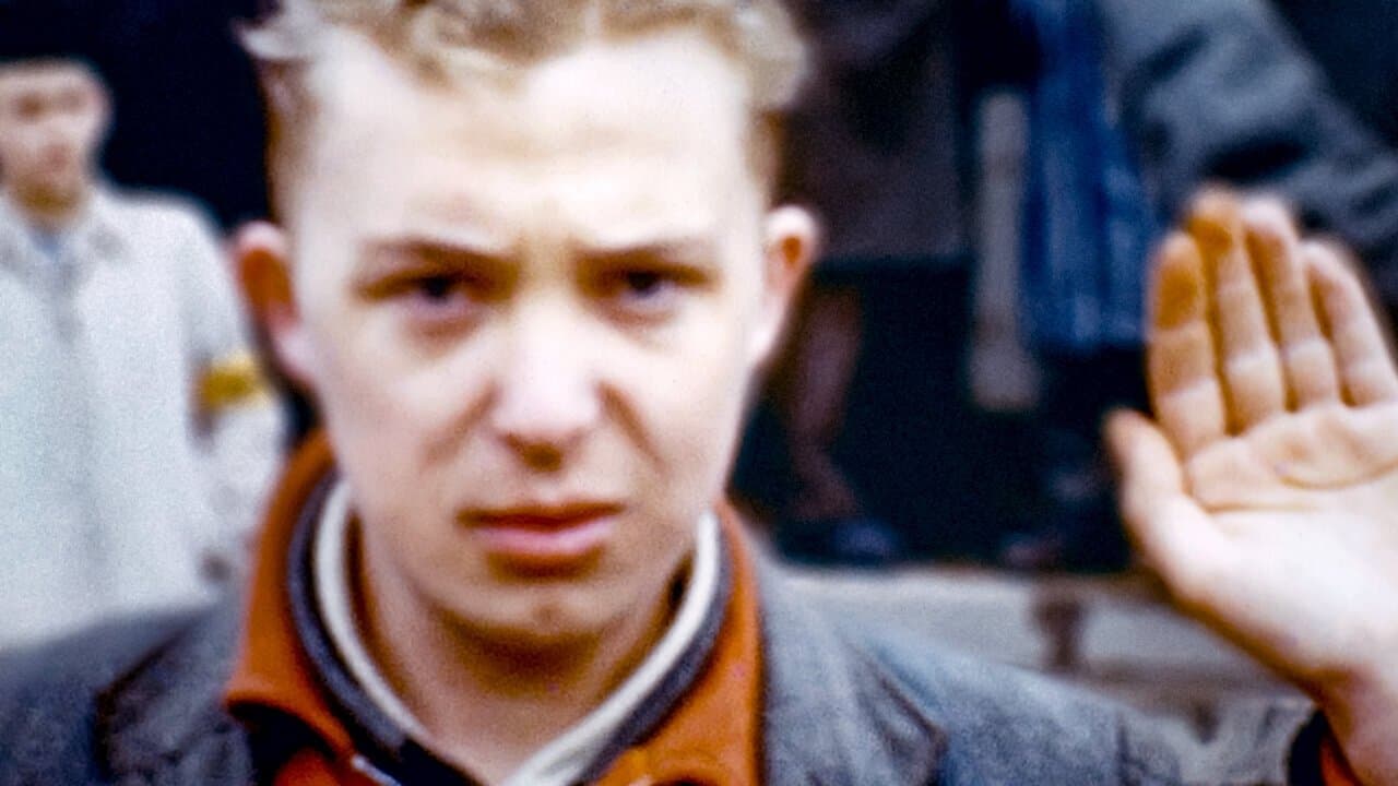 Photo d'illustration du film Le Dernier Témoignage