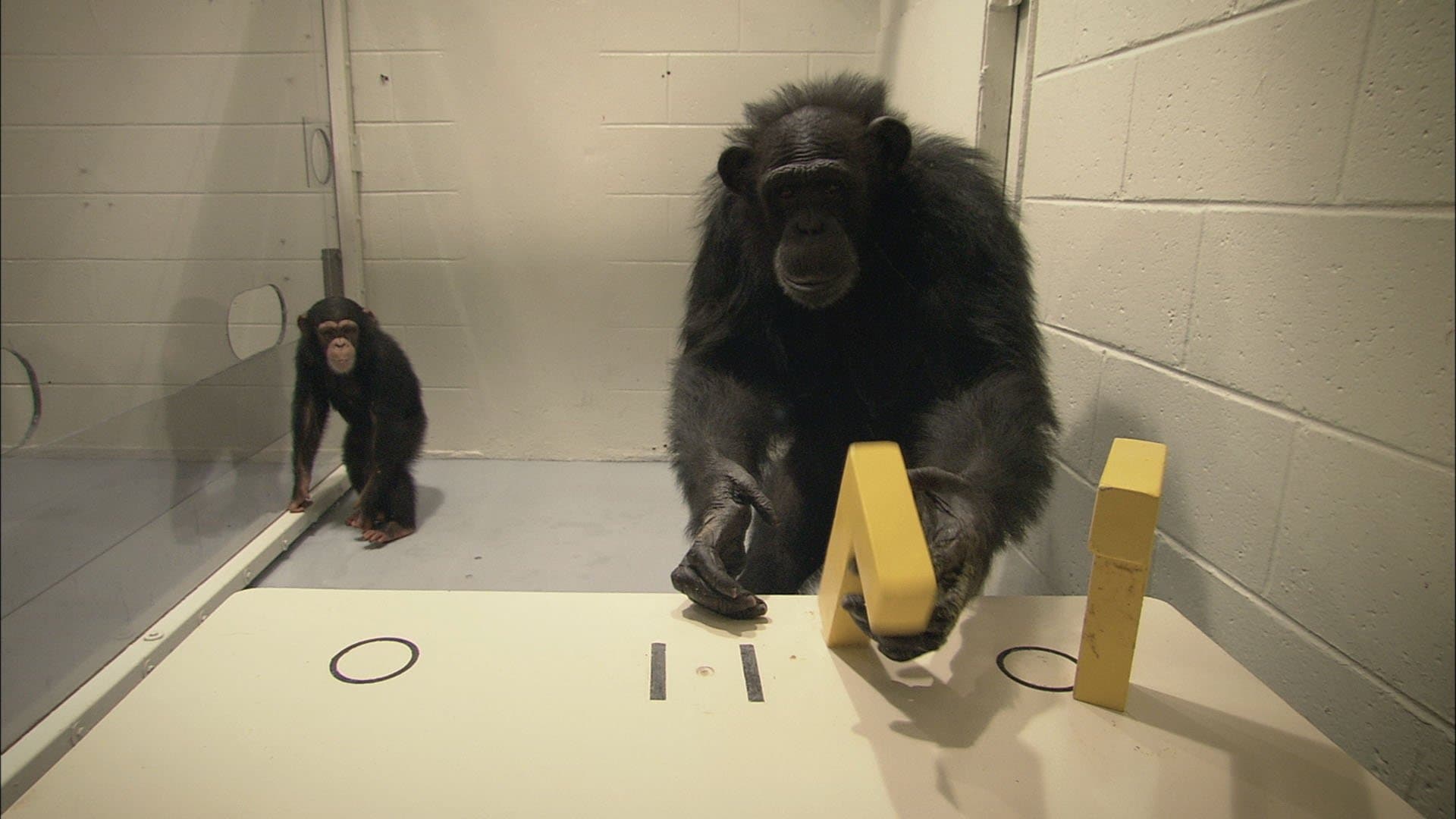 Photo d'illustration du film Survivre au progrès