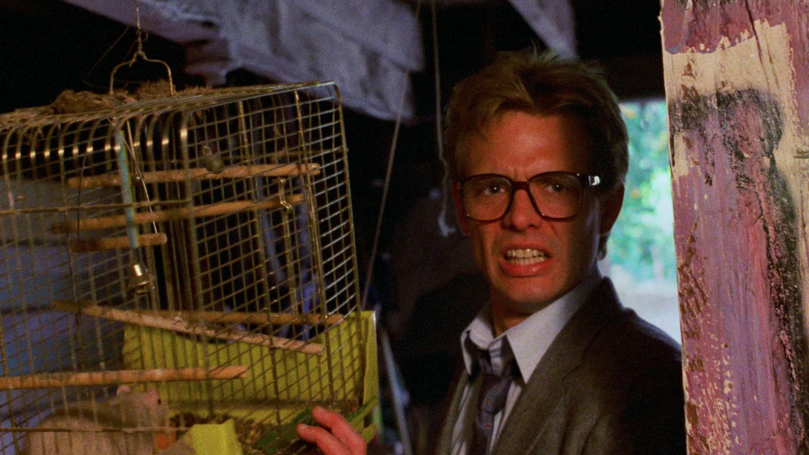 Photo d'illustration du film Le sang du châtiment