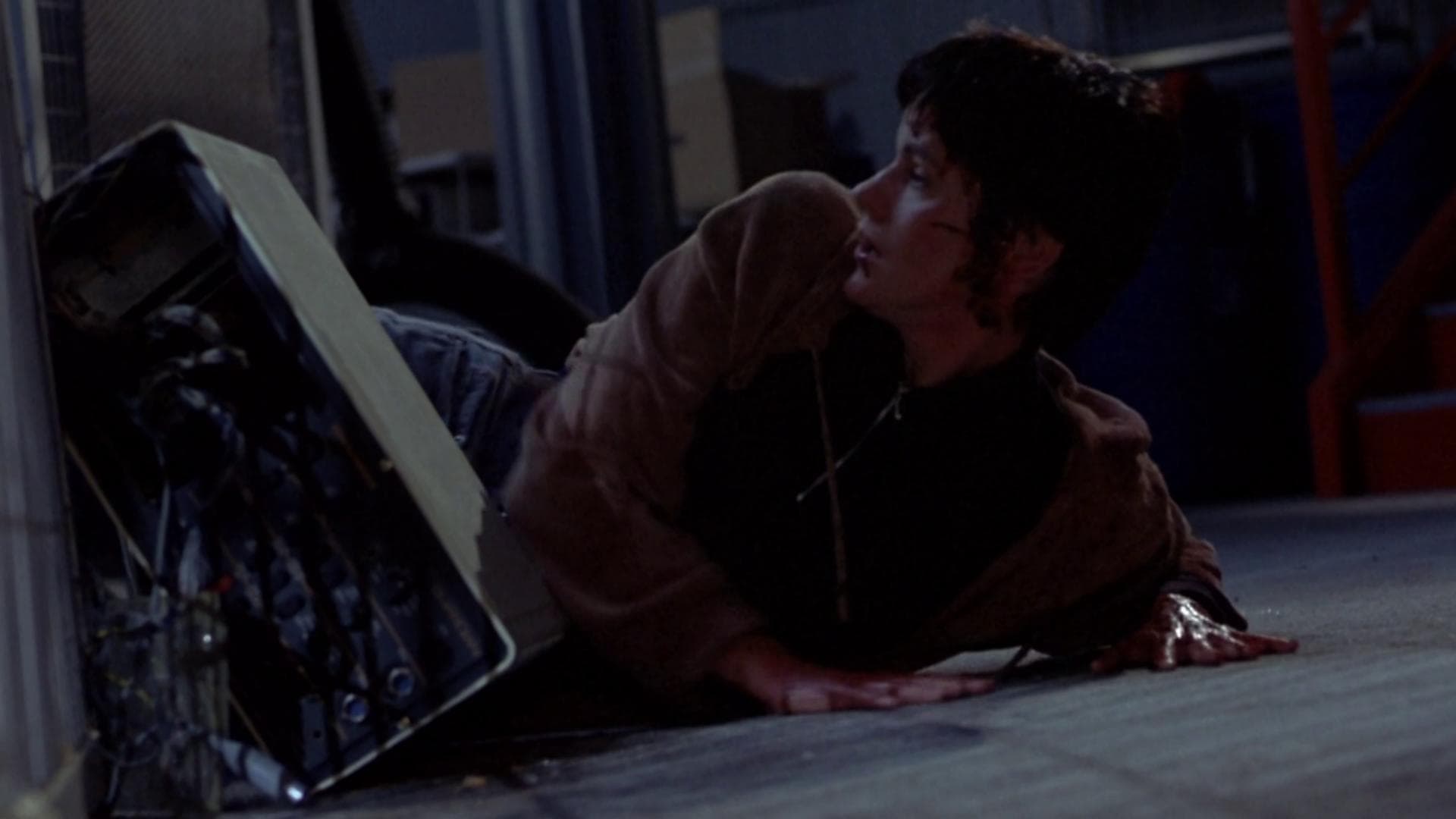 Photo d'illustration du film Max : Le Meilleur Ami de l'Homme