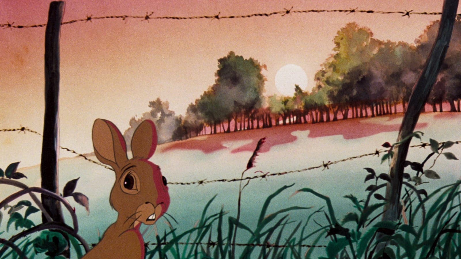 Photo d'illustration du film La folle escapade