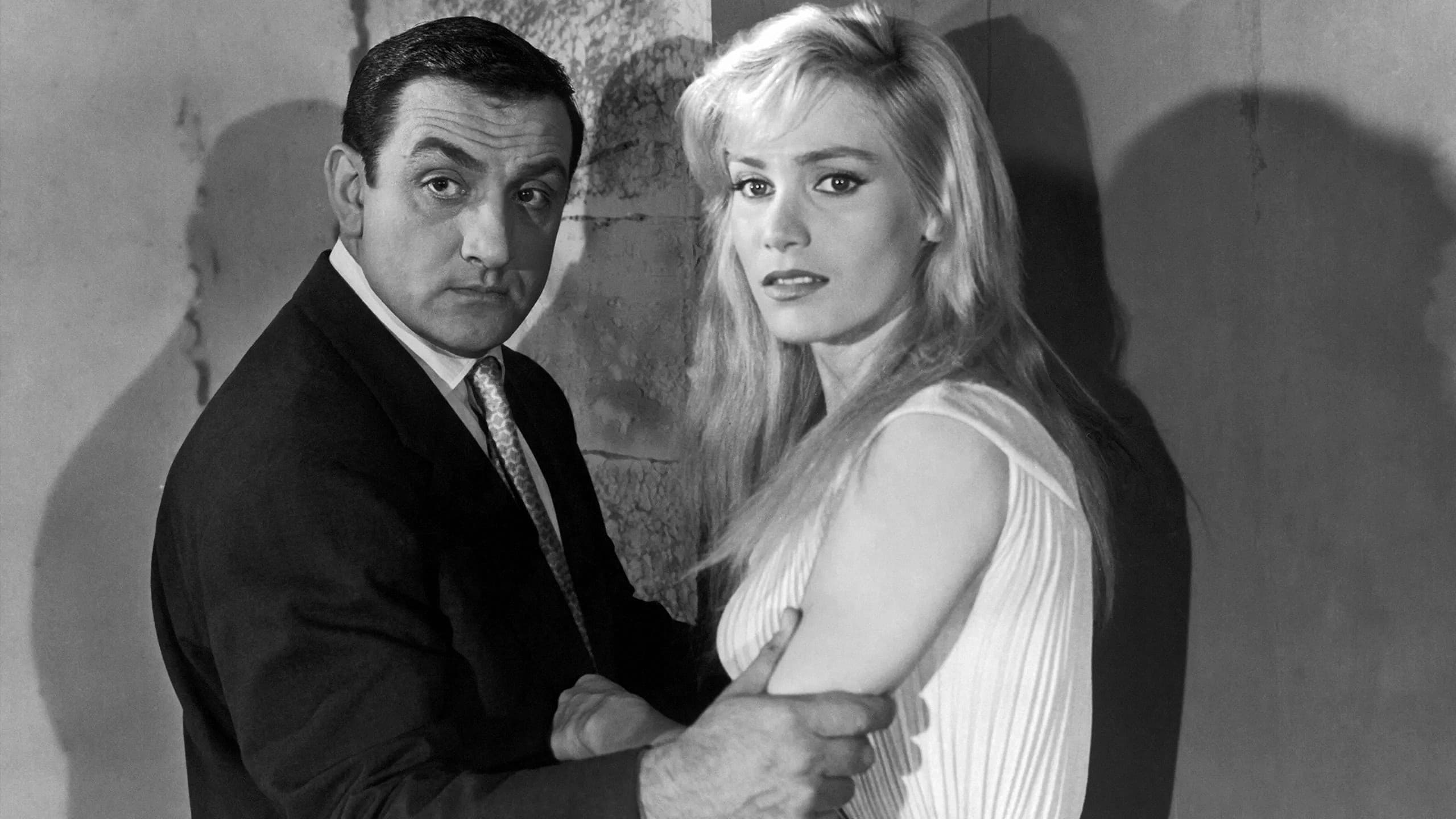 Photo d'illustration du film Le fauve est lâché