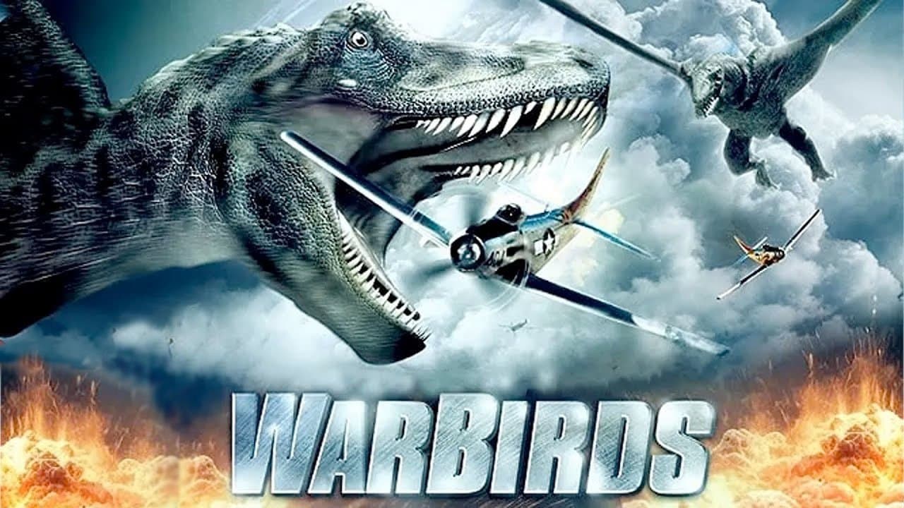 Photo d'illustration du film Warbirds