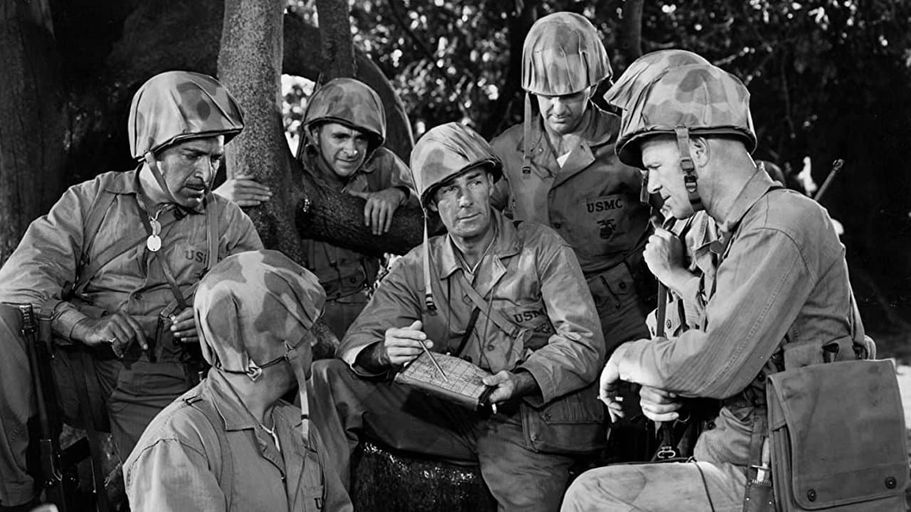 Photo d'illustration du film Gung Ho!