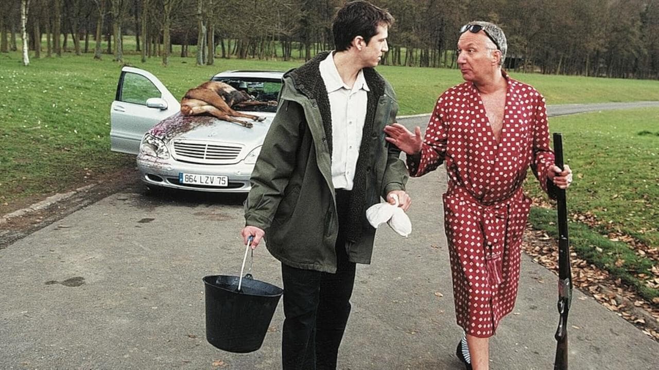 Photo d'illustration du film Mon idole