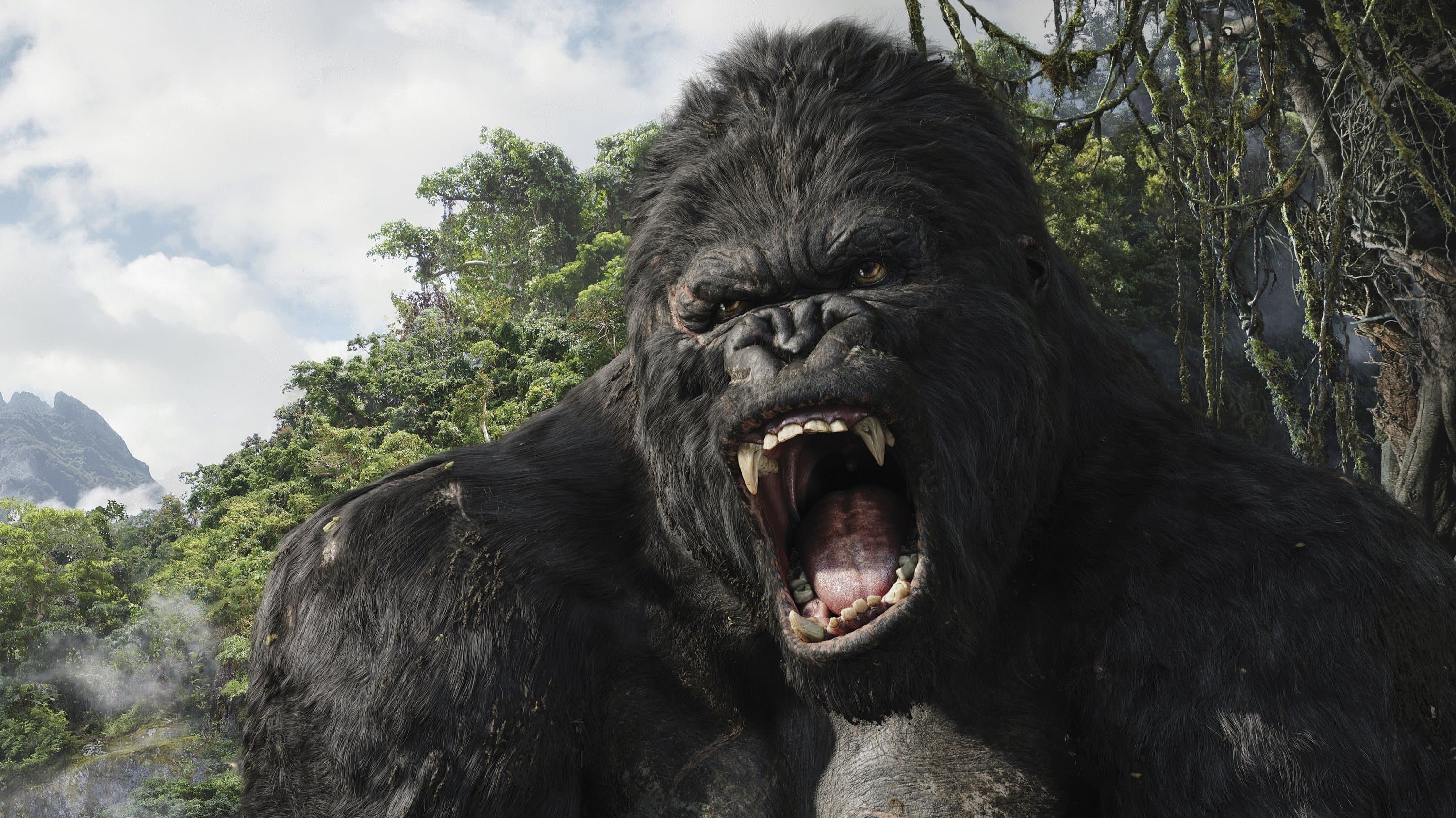 Photo d'illustration du film King Kong