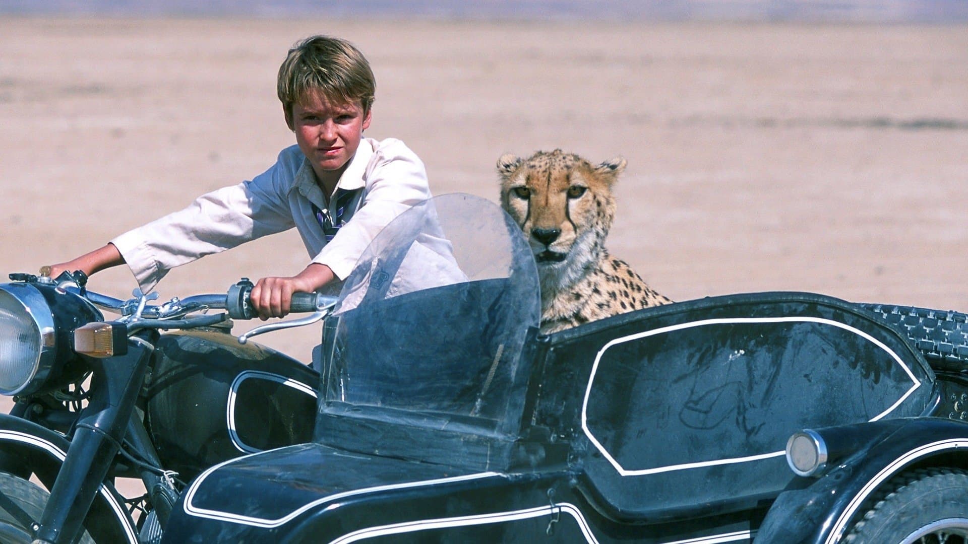 Photo d'illustration du film Duma