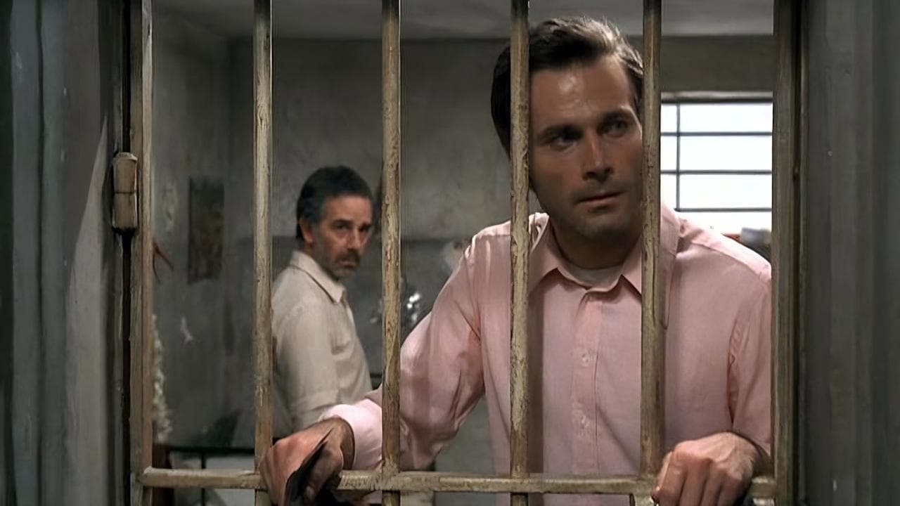 Photo d'illustration du film Nous sommes tous en liberté provisoire