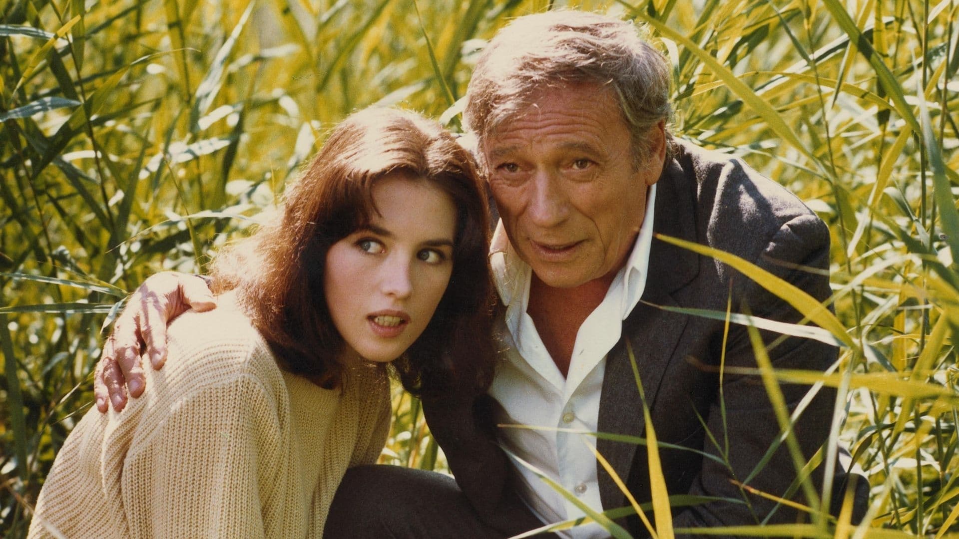 Photo d'illustration du film Tout feu, tout flamme