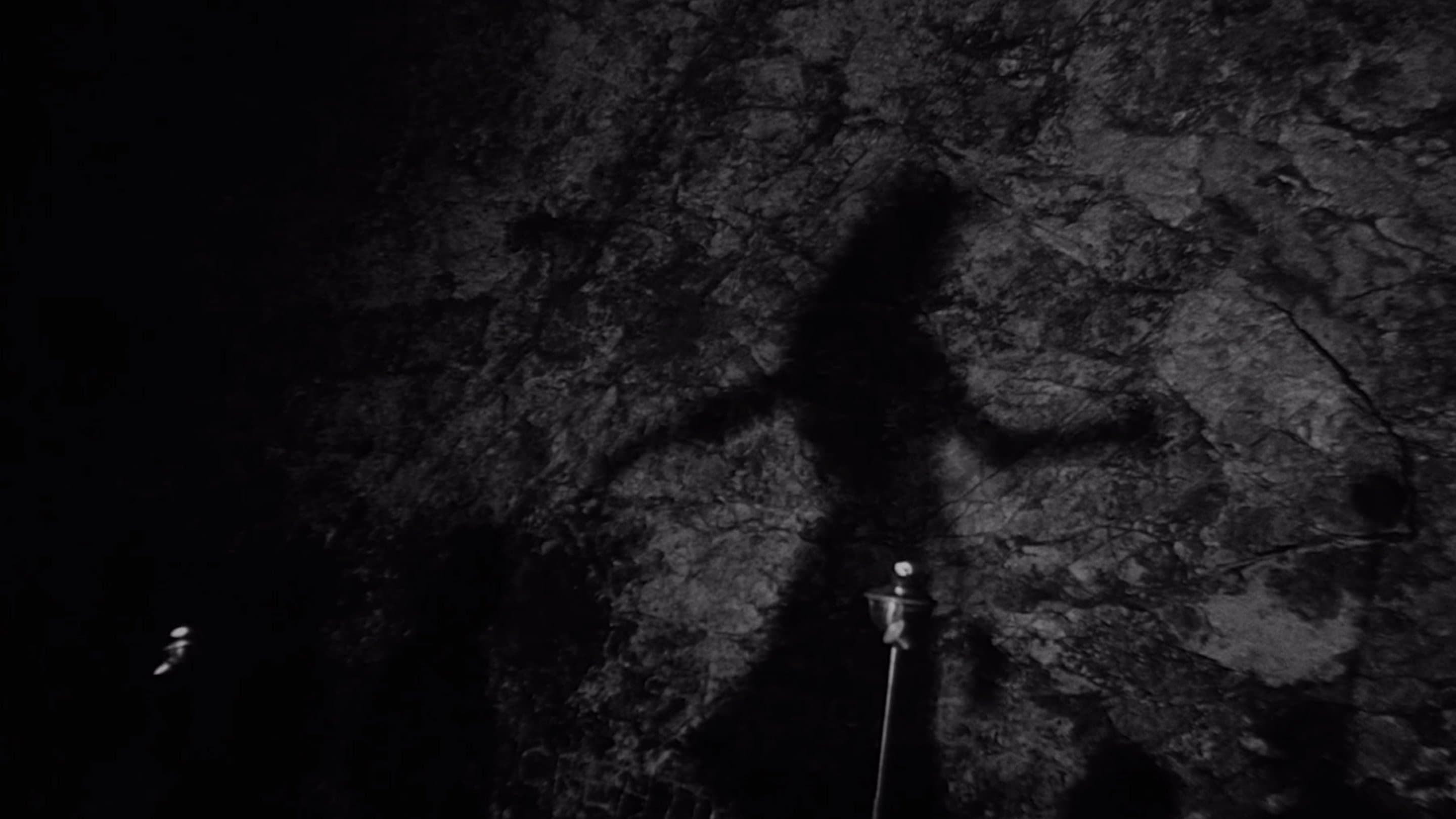 Photo d'illustration du film Marée nocturne