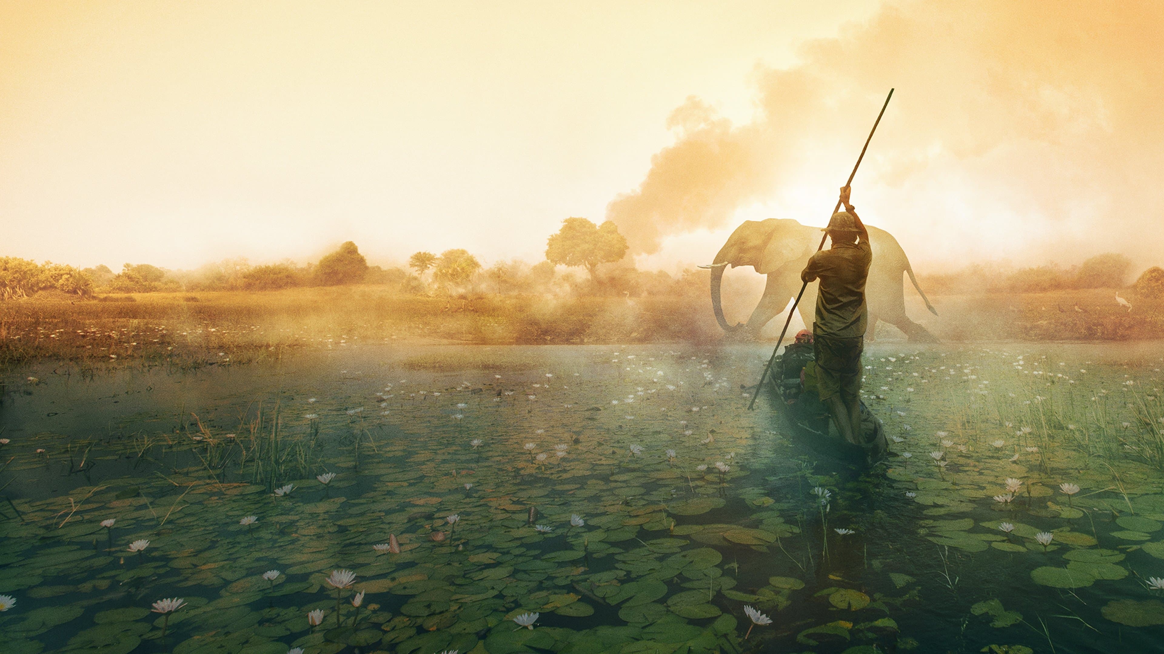 Photo d'illustration du film Au cœur de l'Okavango