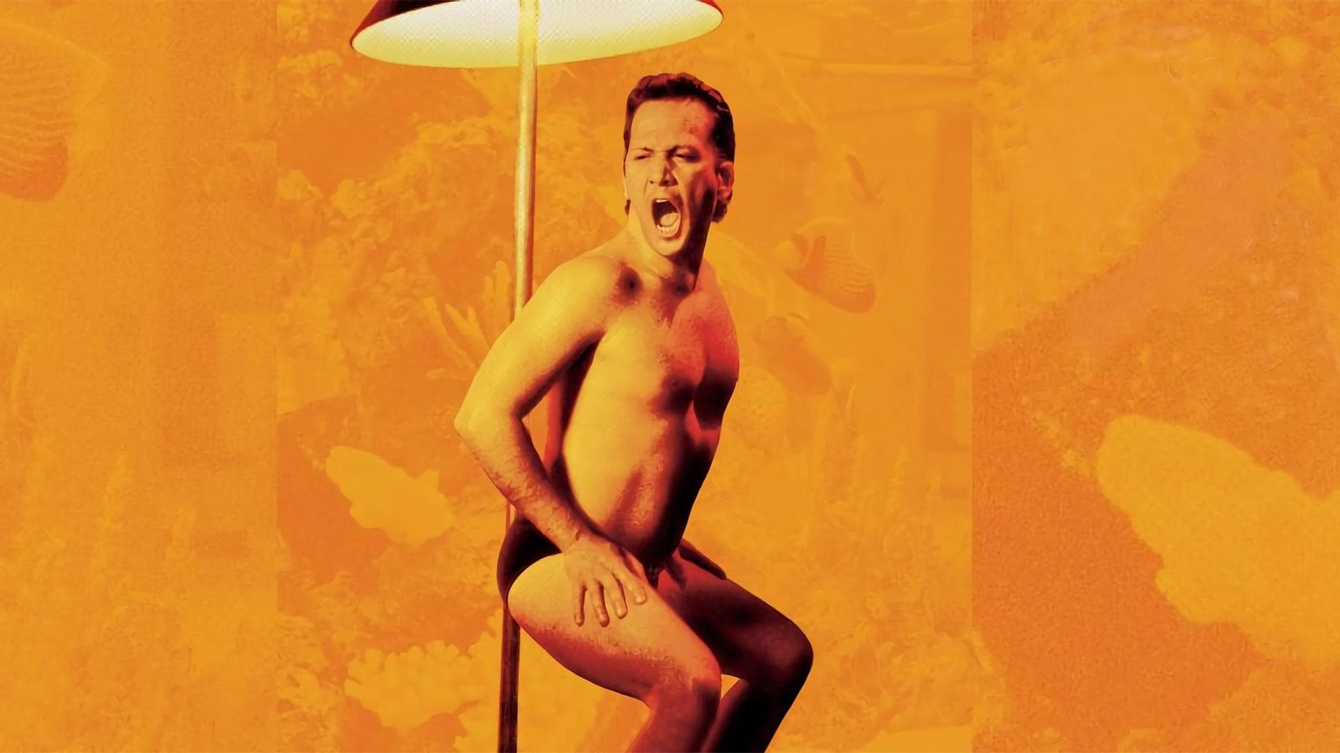 Photo d'illustration du film Deuce Bigalow : Gigolo à tout prix