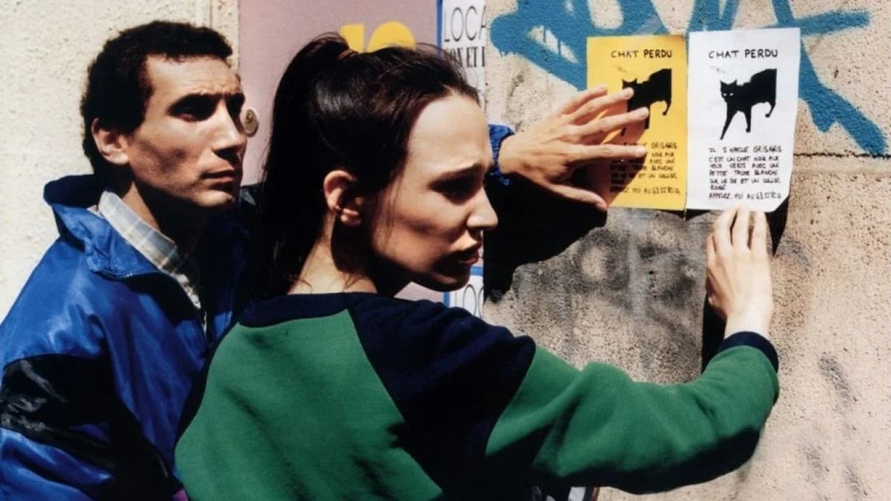 Photo d'illustration du film Chacun cherche son chat