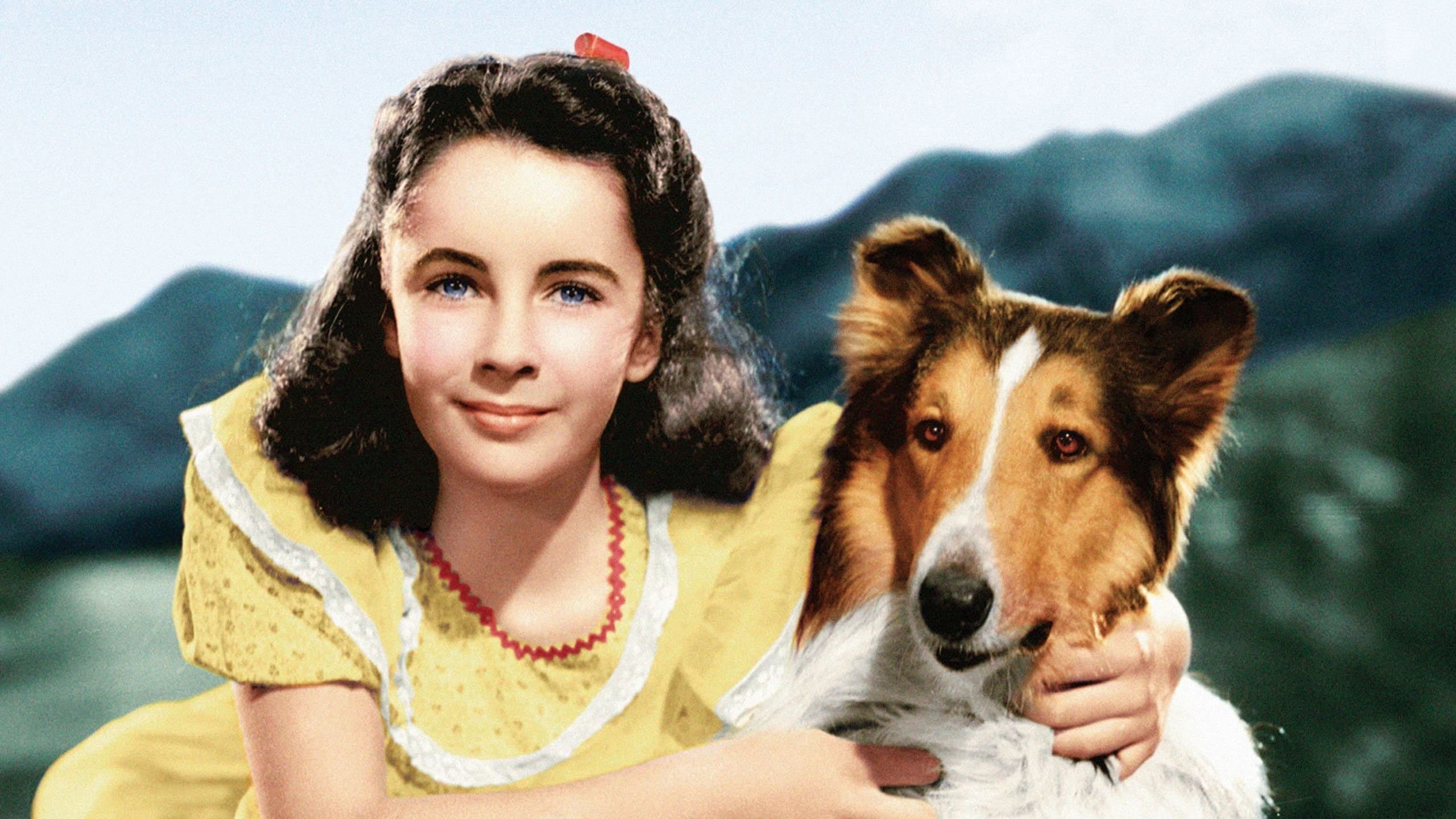 Photo d'illustration du film Le Courage de Lassie