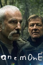 Anemone