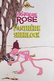 Panthère Sherlock