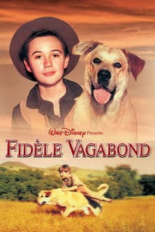 Fidèle vagabond