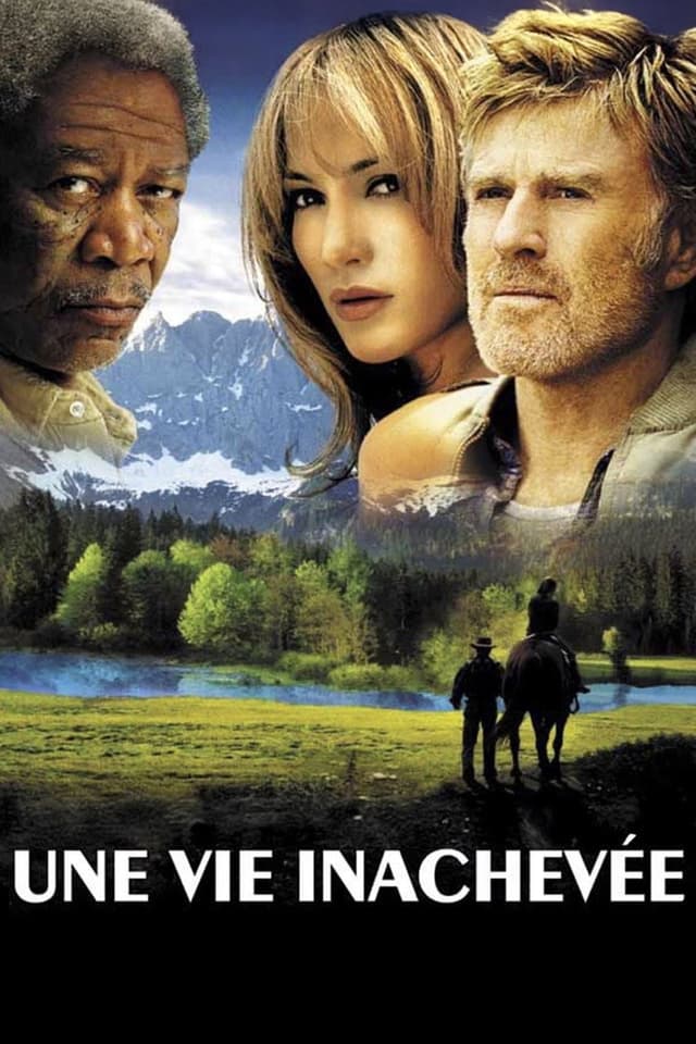 Une Vie Inachevée